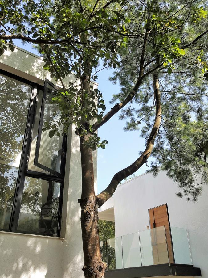 Aroundthetree Hermitage Shitan Exterior photo
