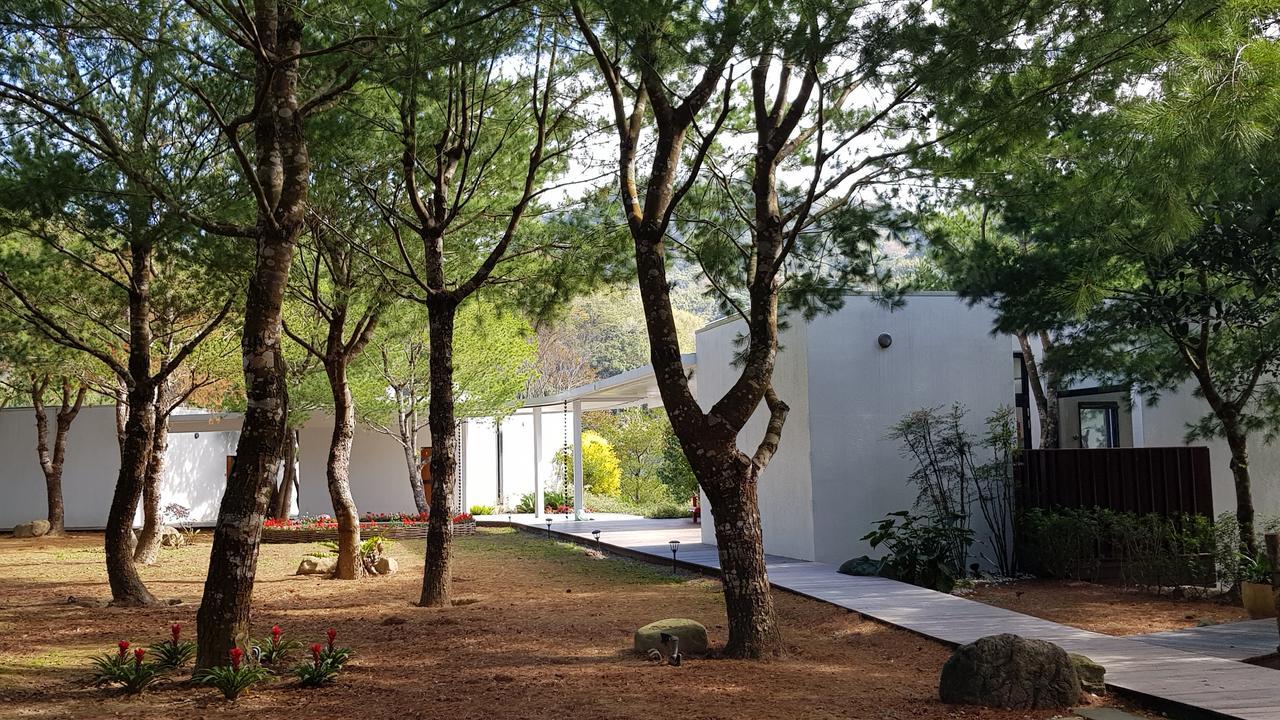 Aroundthetree Hermitage Shitan Exterior photo
